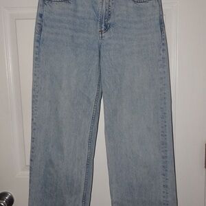 Aritzia low rise baggy jeans